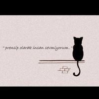 Zdjęcia użytkownika Batuhan Oker