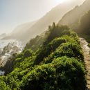 The Garden Route road trip 🚗🥾⛰️ 's picture