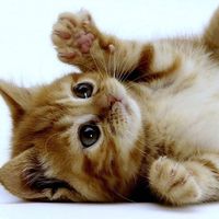 Dee InBoston的照片