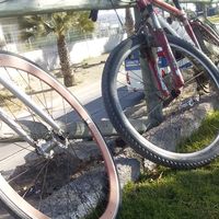 Lucas Castro的照片