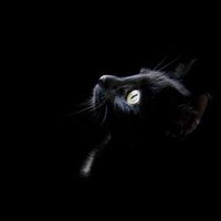 Rodrigo Orozco的照片