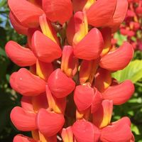 Célia Plattier的照片