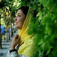 Hadiss Shahmirzaloo's Photo