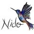 Nido Colibri's Photo