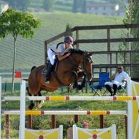 Michela Barberini的照片