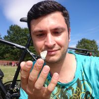 Amin Hamzeloui's Photo