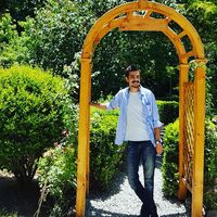 Mohammad Kameli的照片