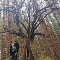 Coral Denis CR的照片