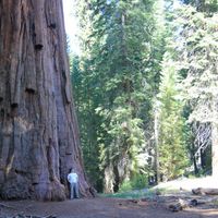 Photos de Adam Hershberger