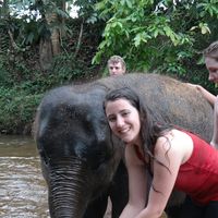 Piroska Uzsoki的照片