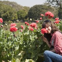 Arina Makarova的照片