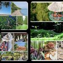 Explore Can Gio — A Different Side Of HCMC's picture