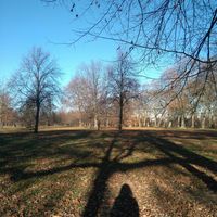 Fotos de andrea Broca