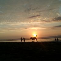 Leddy Marianella  Veliz Gonzales的照片