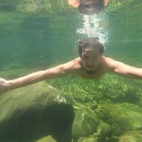 Ian Felipe Pereira的照片