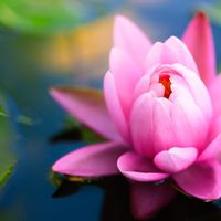 Nice Couple的照片