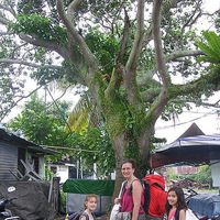 Carole Frauli's Photo