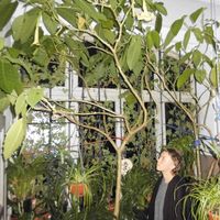 Janina Hildebrandt's Photo