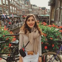 Fahimeh Rostami's Photo