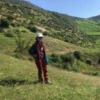 Samira Fakhri's Photo