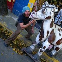 Damien Martin's Photo