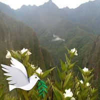 David Asunción's Photo