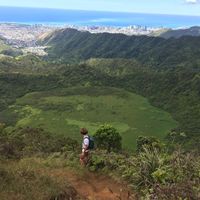 Theo Campbell的照片