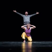 Gabriel Negulescu's Photo