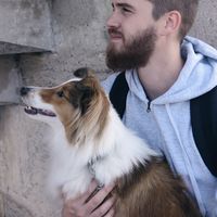 Gergely Tarjan的照片