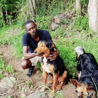 Fotos von Daniel King