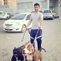 shreedhar  Thangaraj's Photo