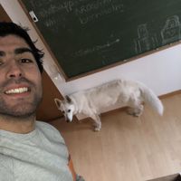 Jose Ignacio  Oro's Photo