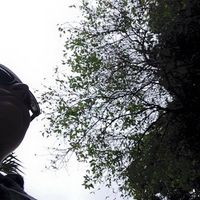 Amanda Mendes的照片