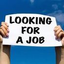 Seeking Job 's picture