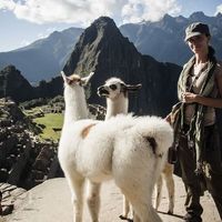 Фотографии пользователя Tina Smith