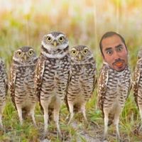 海渡 バーザー's Photo