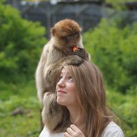 Alina Wiemann的照片