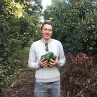 Photos de Yoram Golin