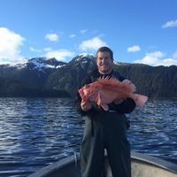 Robert Houston's Photo