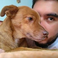 Juan Moreno Ramirez's Photo