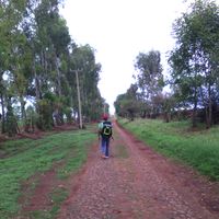 Santiago  Torres's Photo