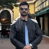 Ali Shahhosseini的照片