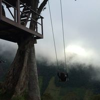 Andrea Castillo's Photo