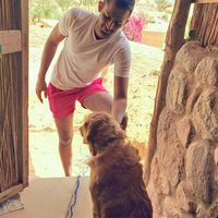 Amr Mostafa的照片