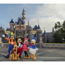 Disneyland Together!'s picture