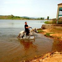 Sakis Voglidis's Photo