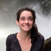 Linda Talarico's Photo