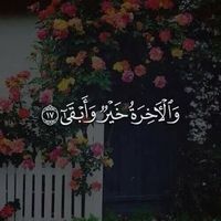 محمد عيسى's Photo