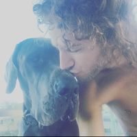 jack howard的照片