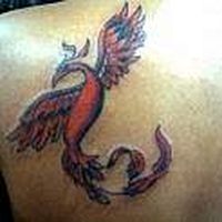 Vaishali Lakhanpal's Photo